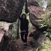 mxstudio